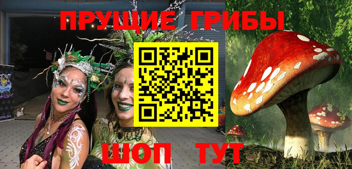 Псилоцибиновые грибы MAGIC MUSHROOMS  Вход с VPN  Воткинск 