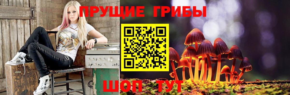 Псилоцибиновые грибы Magic Shrooms Воткинск